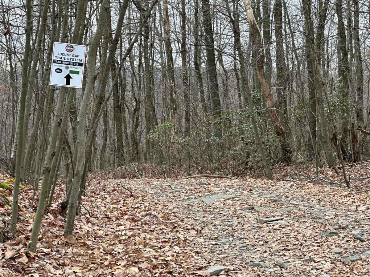 Locust Gap 76 photo 5