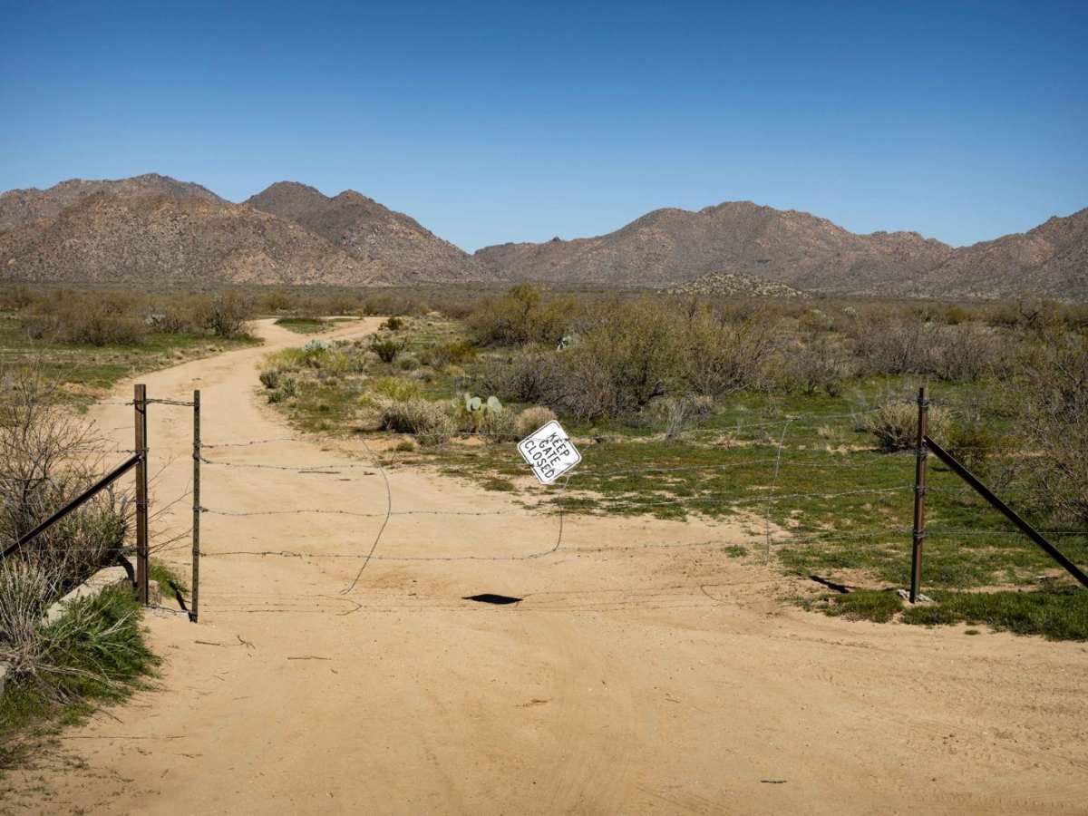 Jackrabbit Way trail photo