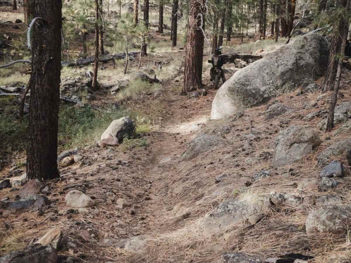 Rocky Moto photo 2
