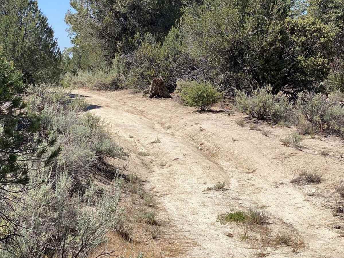 South of Laguna Hanson photo 4