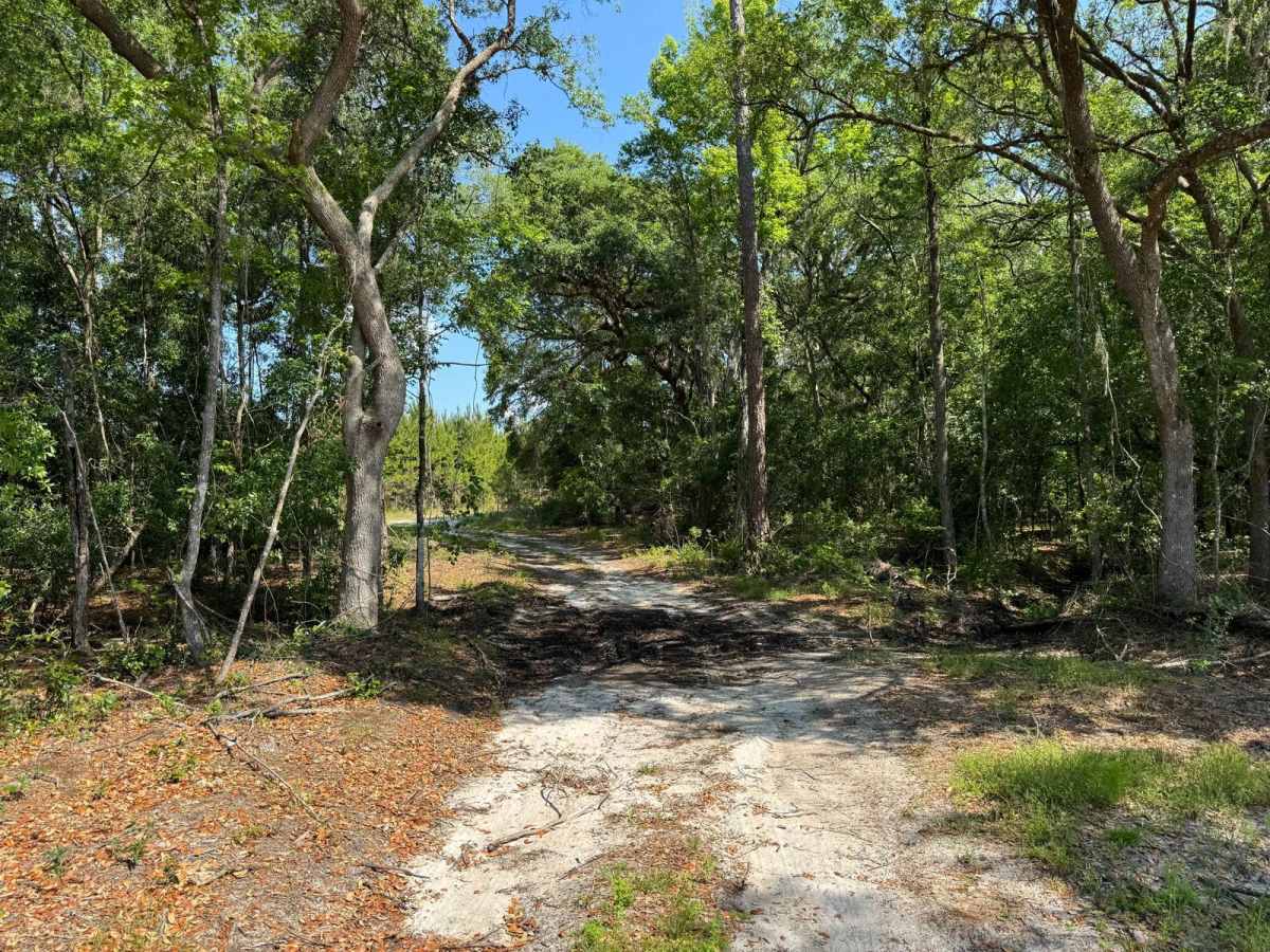 St. Johns River WMD West photo 3
