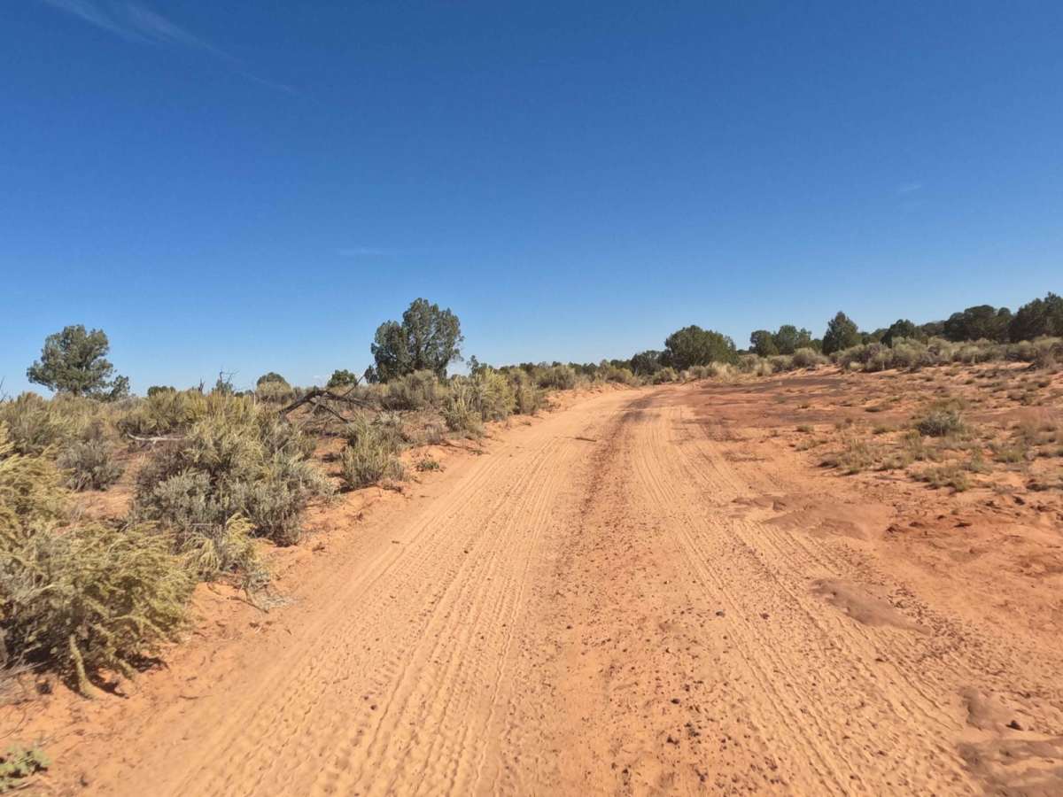Red Pockets Road & Poverty Cabin (1081) photo 5