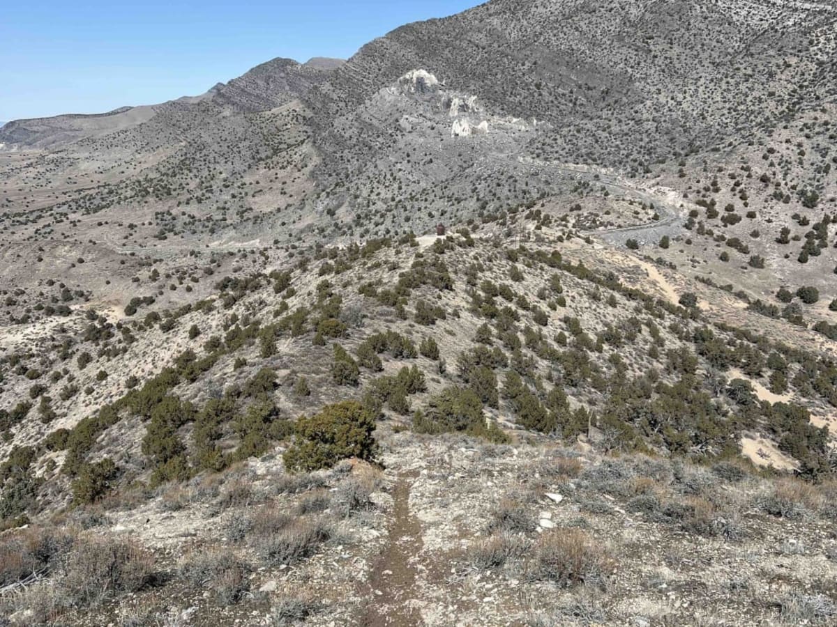 Mushroom Connector trail photo