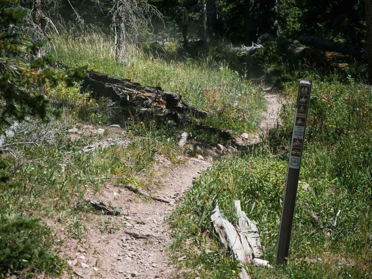 Hillside Connector photo 2