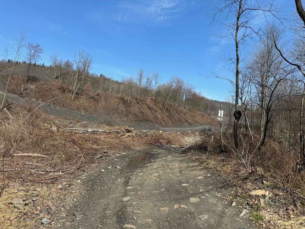 Ashland 17 photo 3