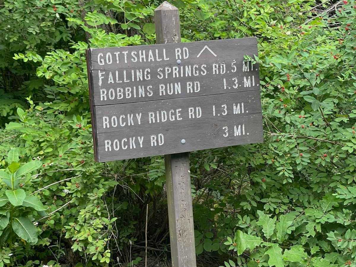 Gottshall Road trail photo