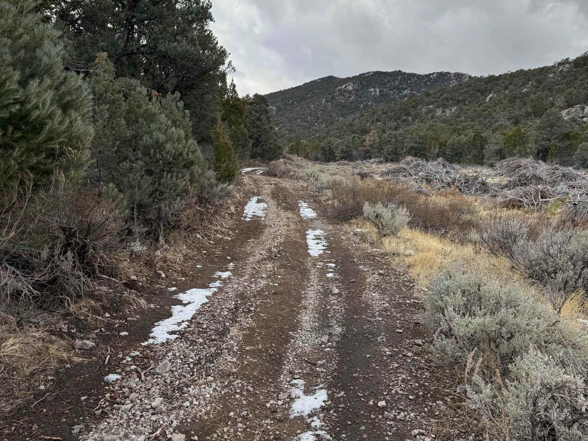 Patterson Pass Loop photo 2