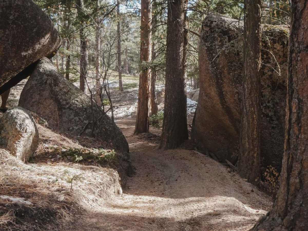 627 Beginner ATV Trail trail photo