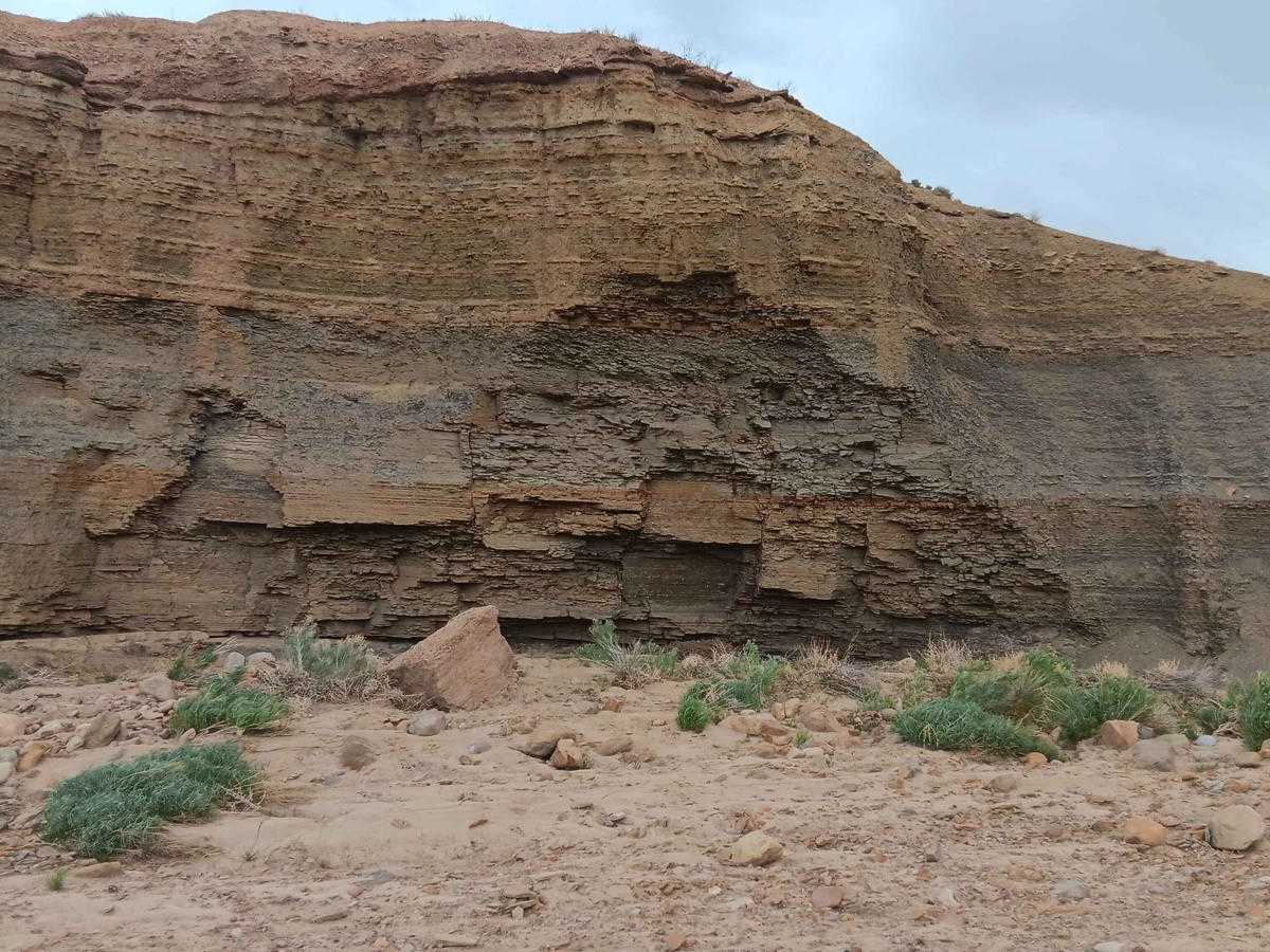Down Floy Canyon Road photo 2