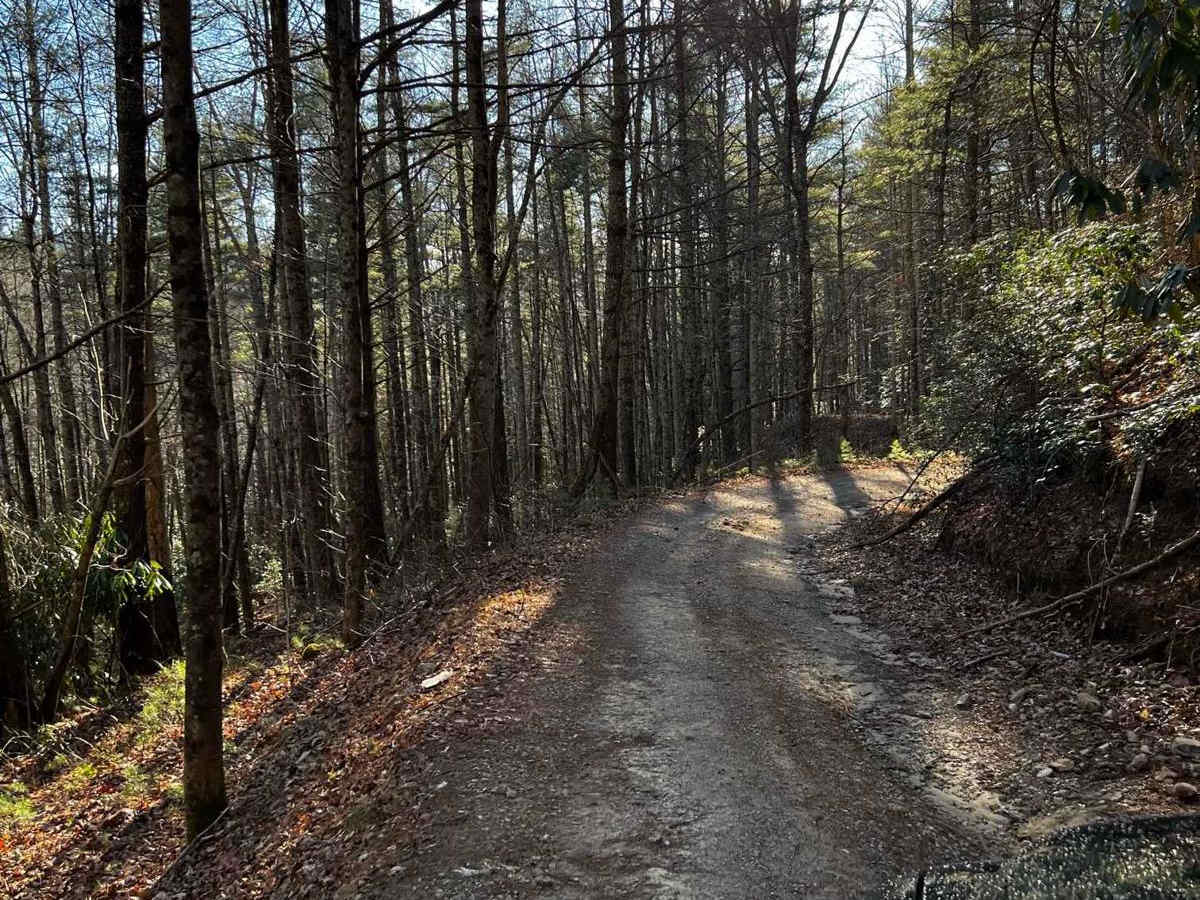 Dicks Creek to Dark Hollow (Unicoi to Erwin) photo 3