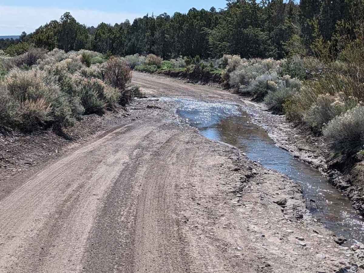 Willow Creek Road East photo 6