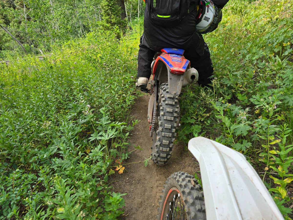 Rainey Creek- Mike Spencer Loop photo 4