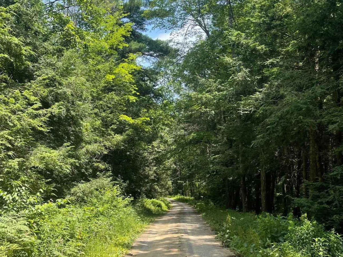 Schwenks Gap Road photo 5