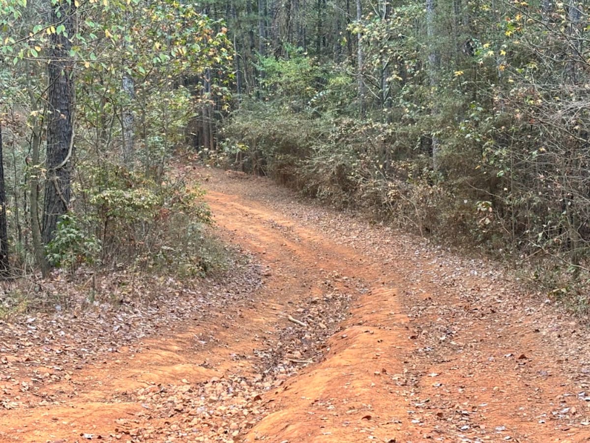 1 trail photo