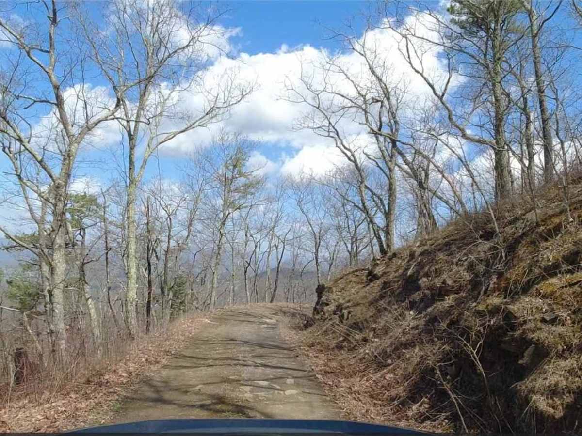 Hite Hollow trail photo