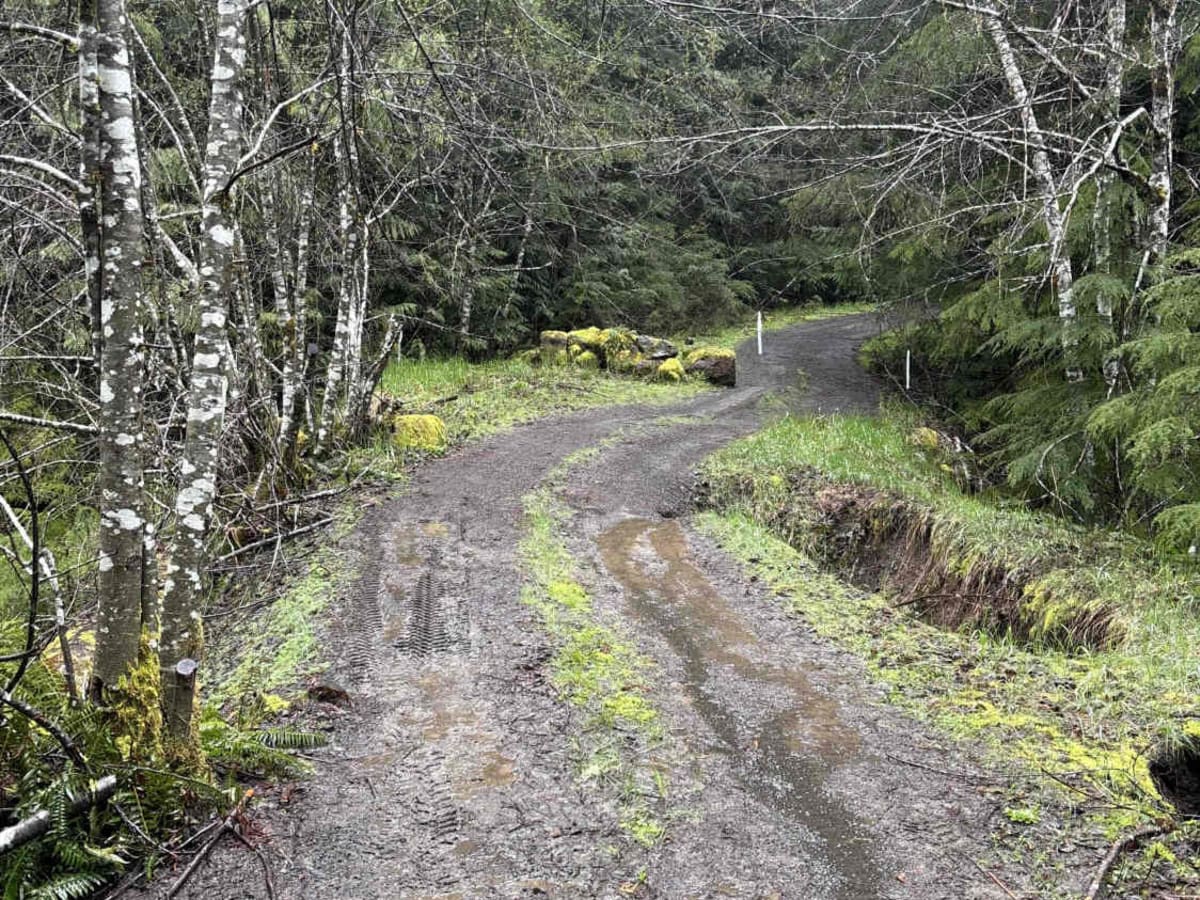 Wildcat/Nisqually Loop Trail photo 2