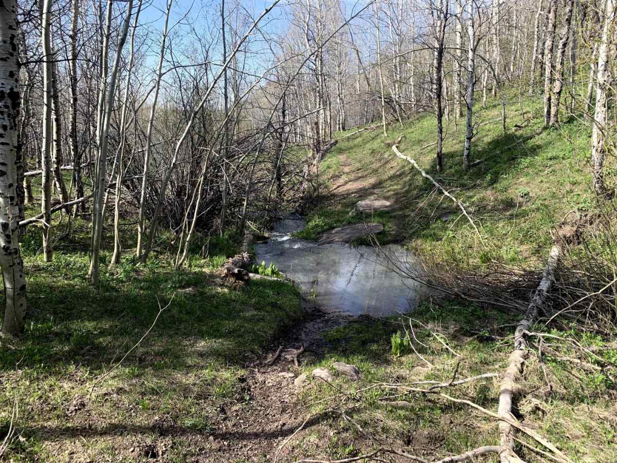 Wahlstrom Fork photo 5