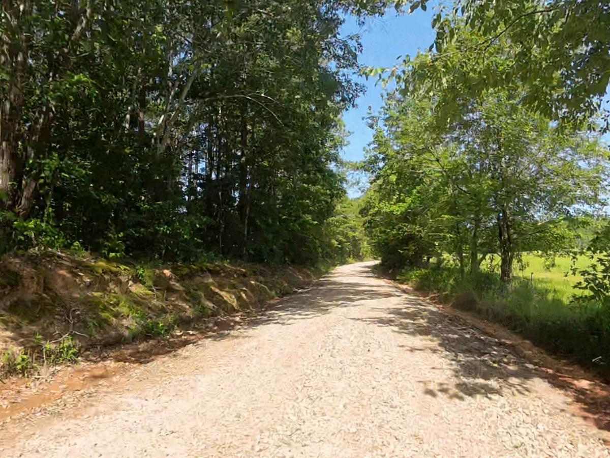 Panther Creek Road trail photo