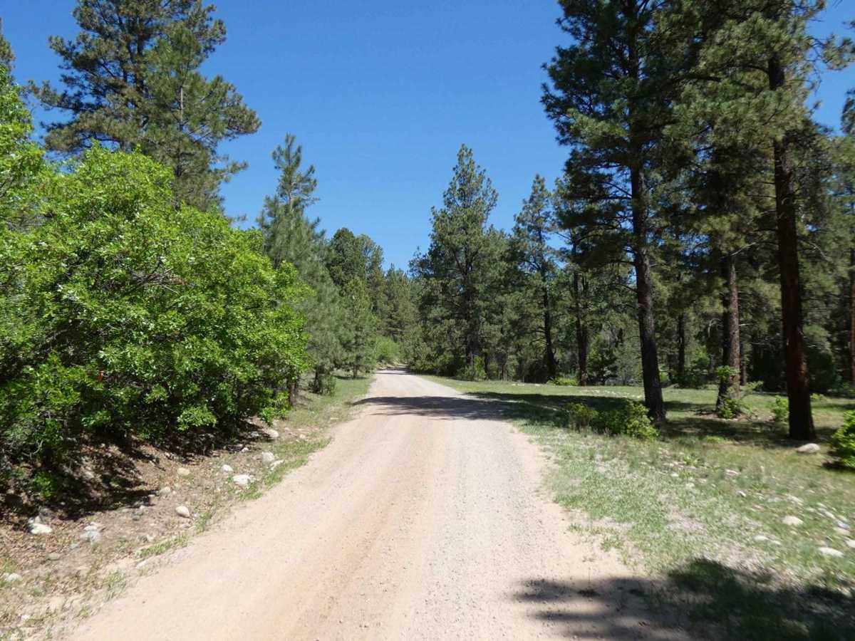 Green Camp Canyon photo 6