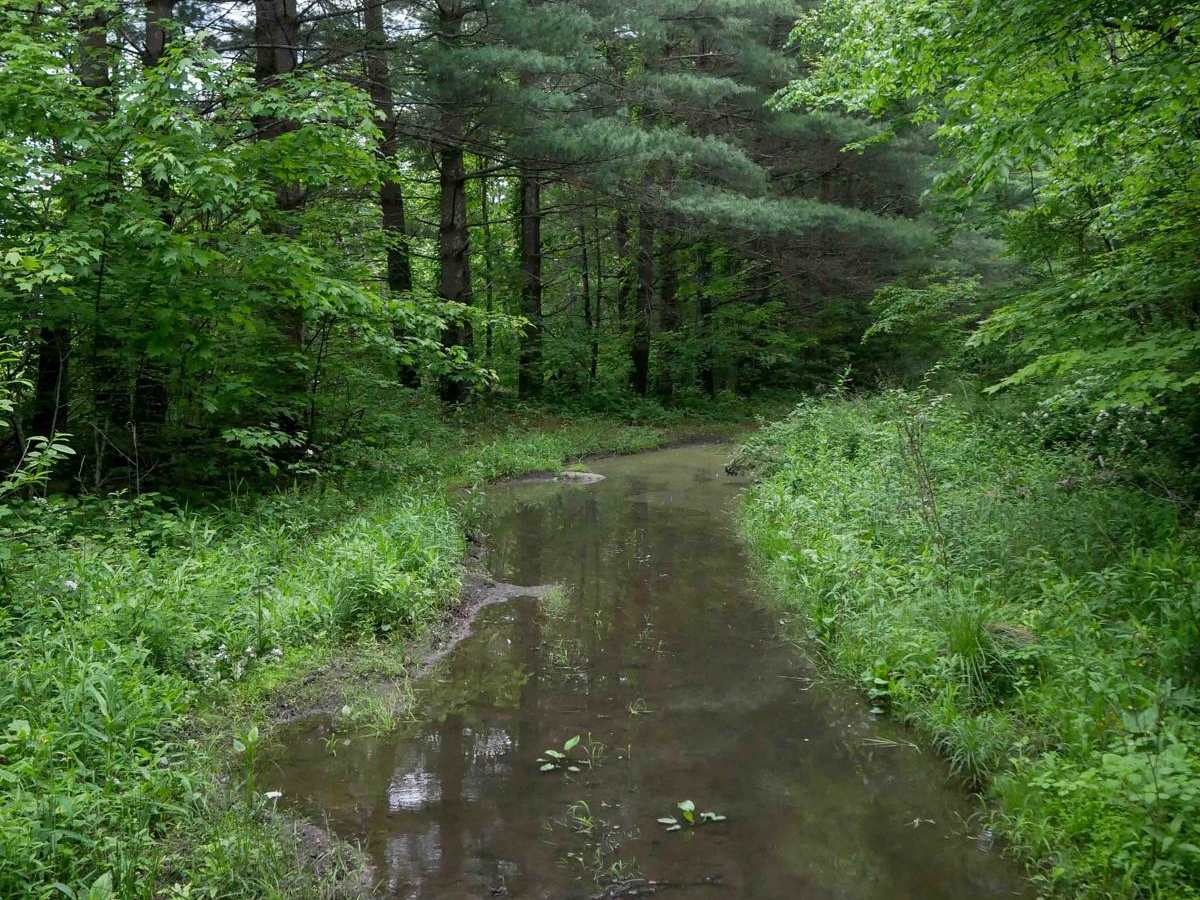 J38 trail photo