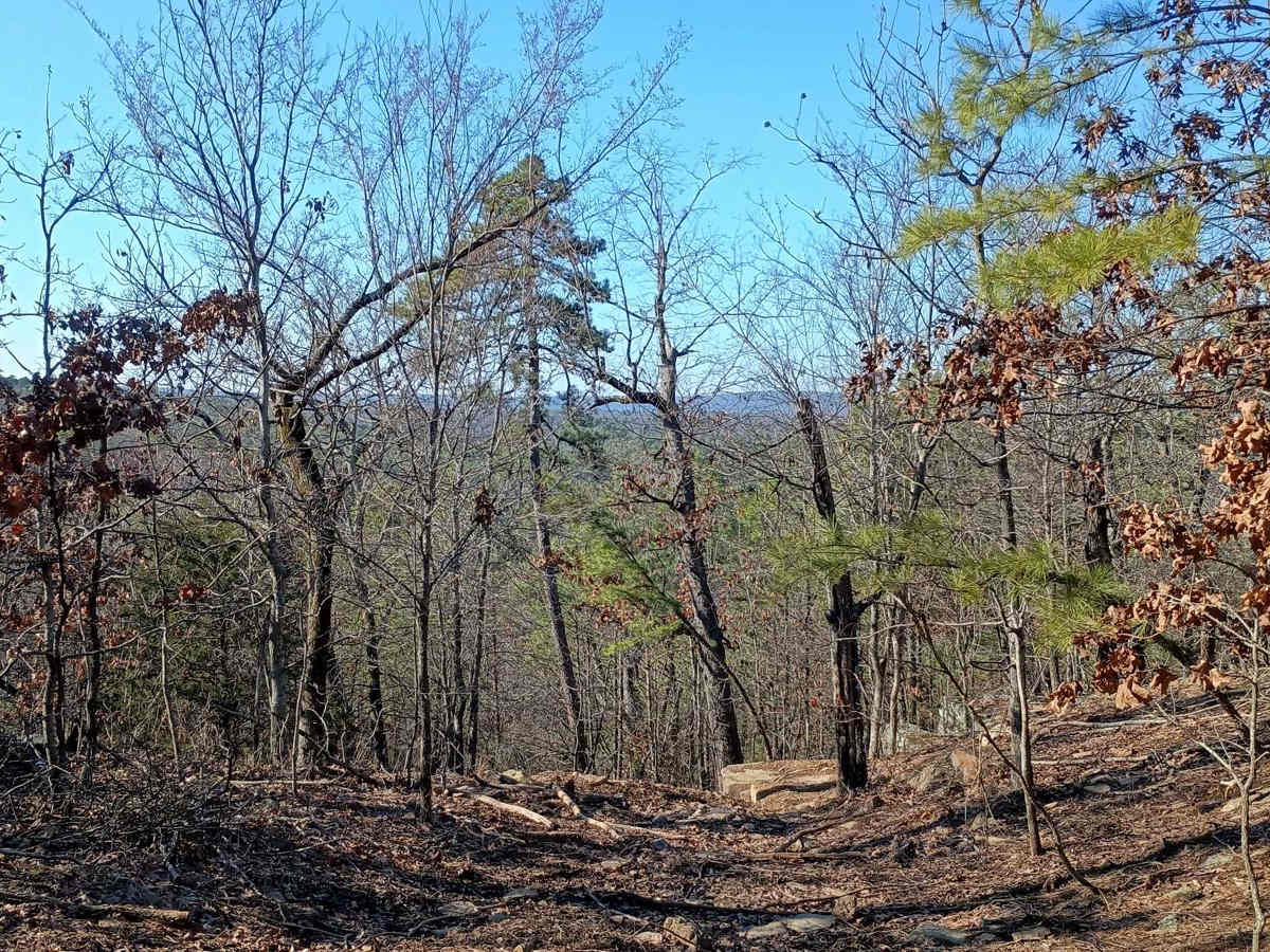 Lookout Access Trail photo 4