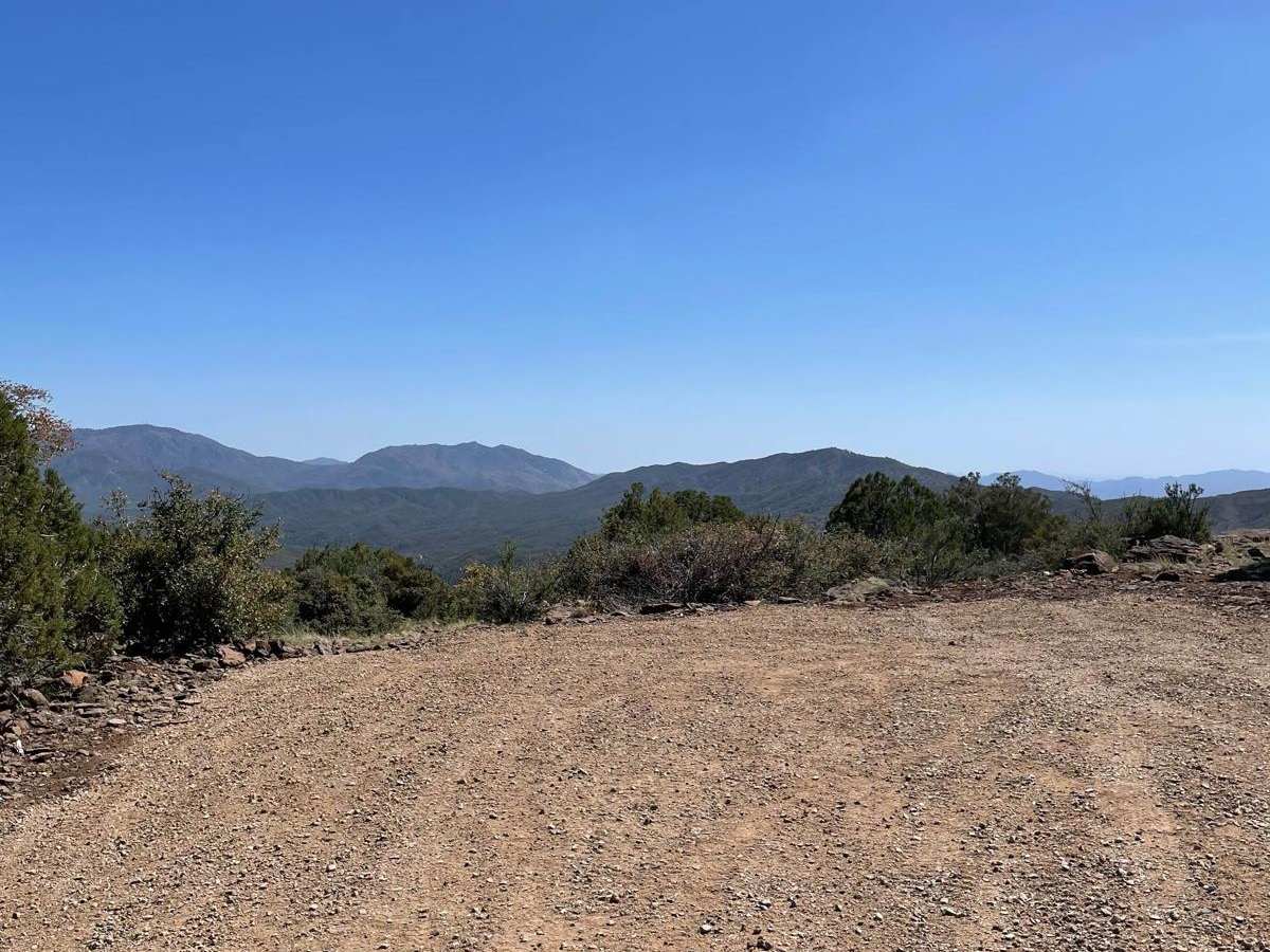 Forest Road 22 photo 6