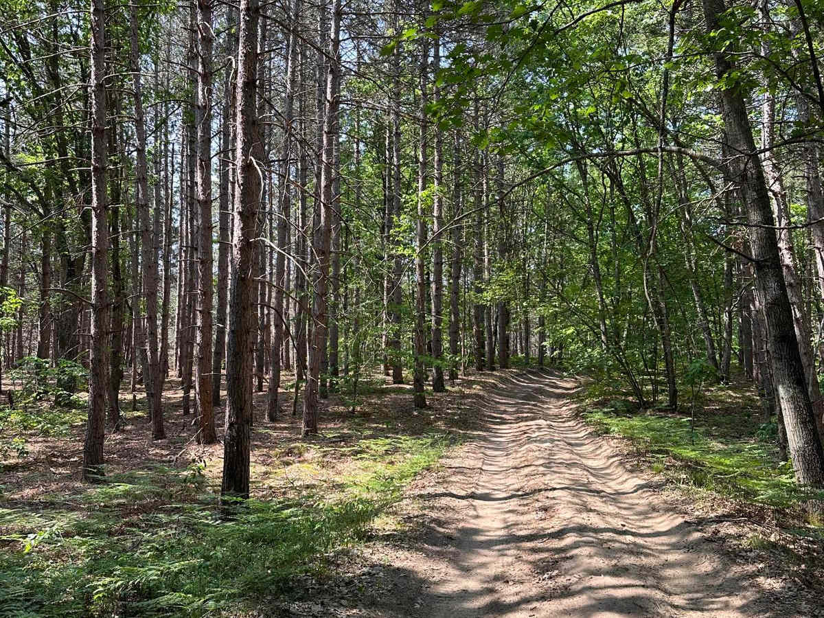 Trail 5389 photo 6