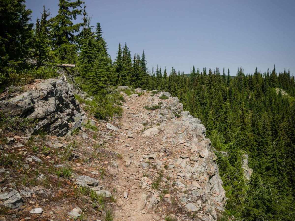 St. Joe Divide North photo 4