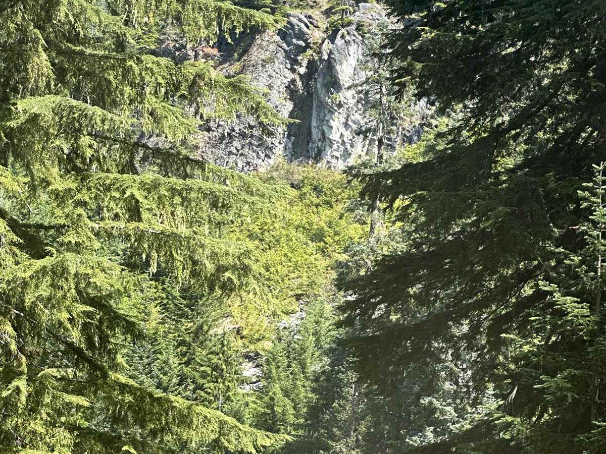 Willame Creek Trail trail photo