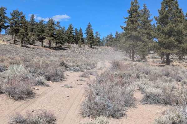 Round Mountain Loop Alternate
