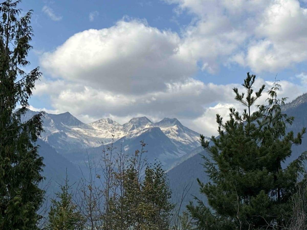 Trout Lake photo 5