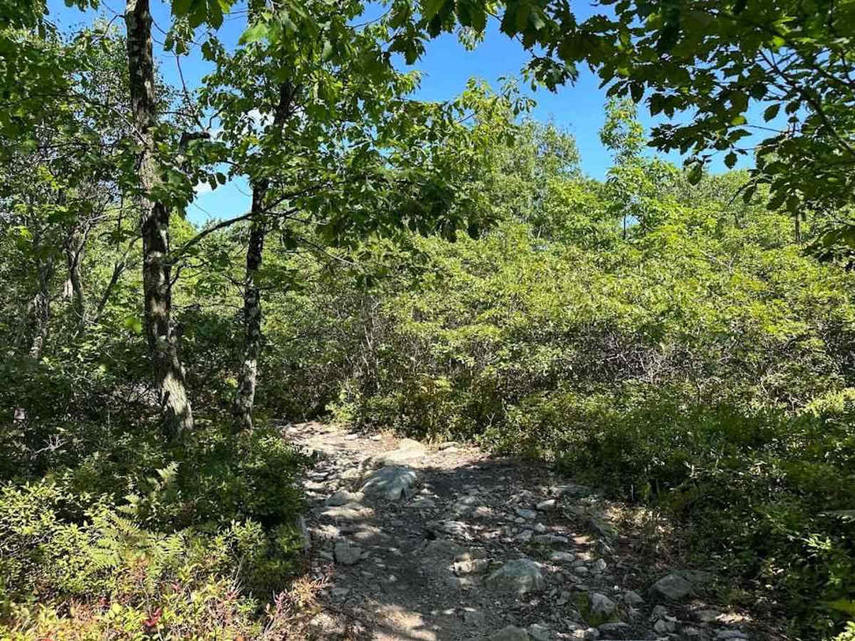 30 Expert Red trail photo