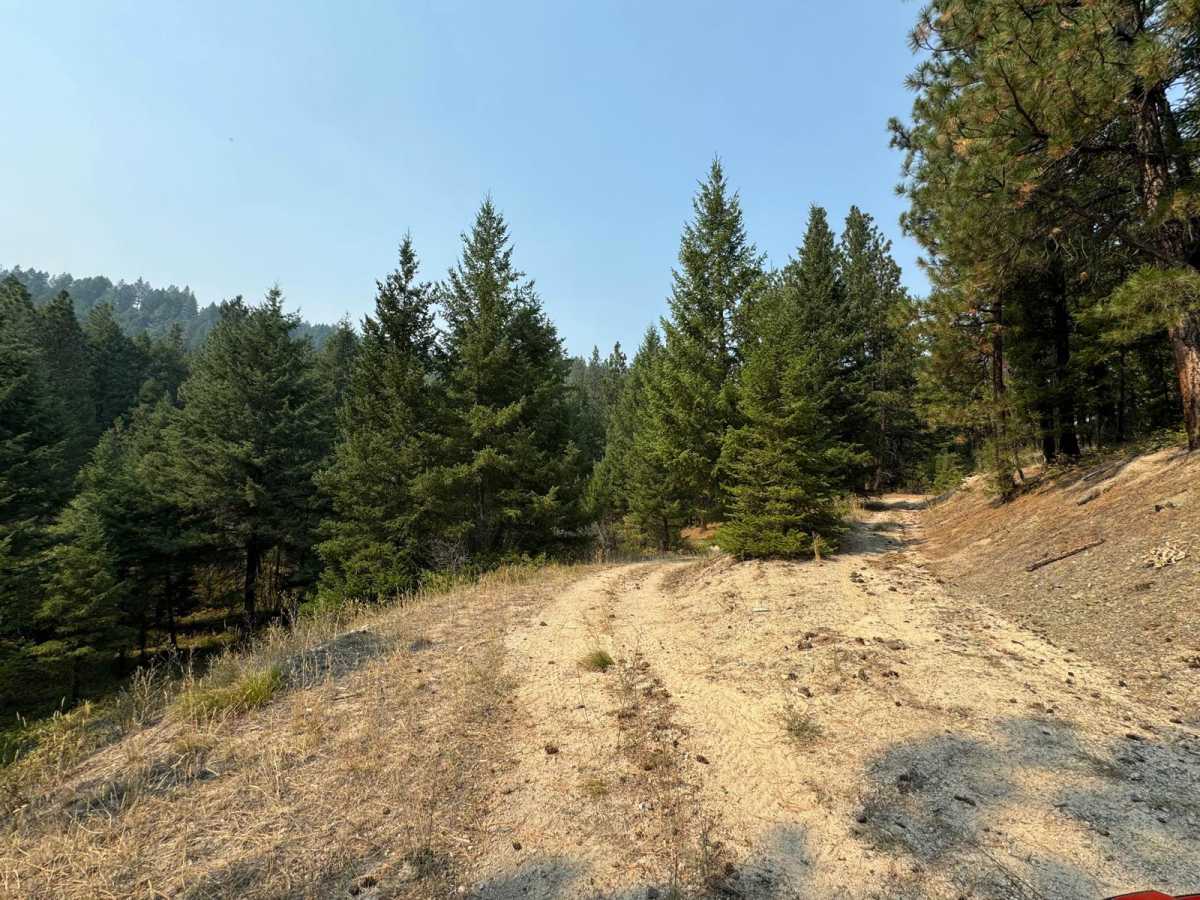 Burnt Ridge photo 5