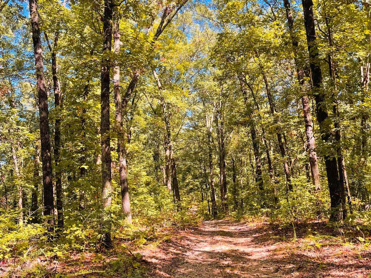Moss Gap Staircase photo 2
