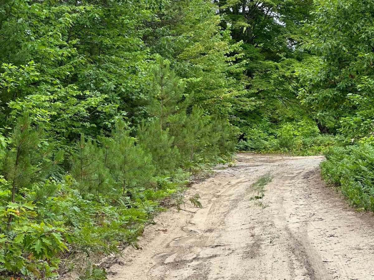 South Reynolds Road Spur photo 2