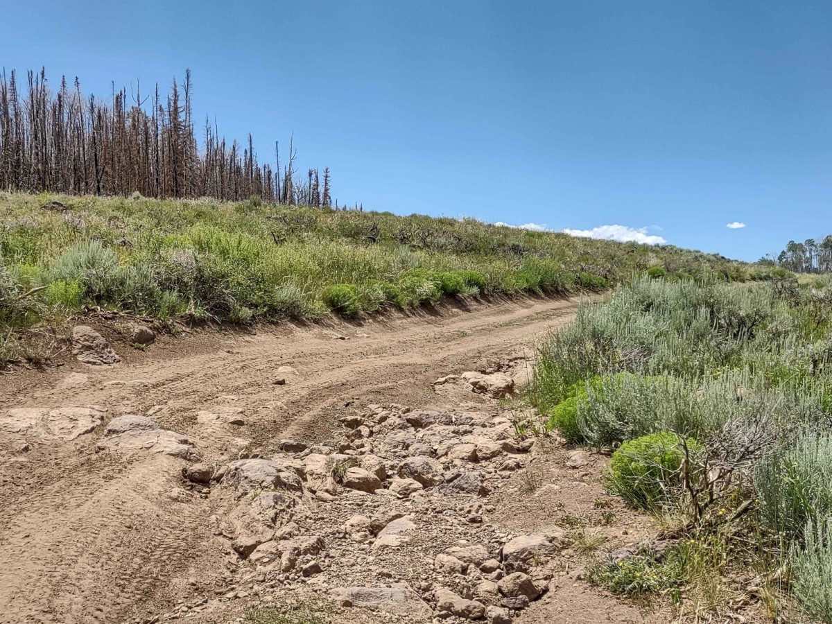 Paiute Side Trail 53 (FS 41225) photo 5