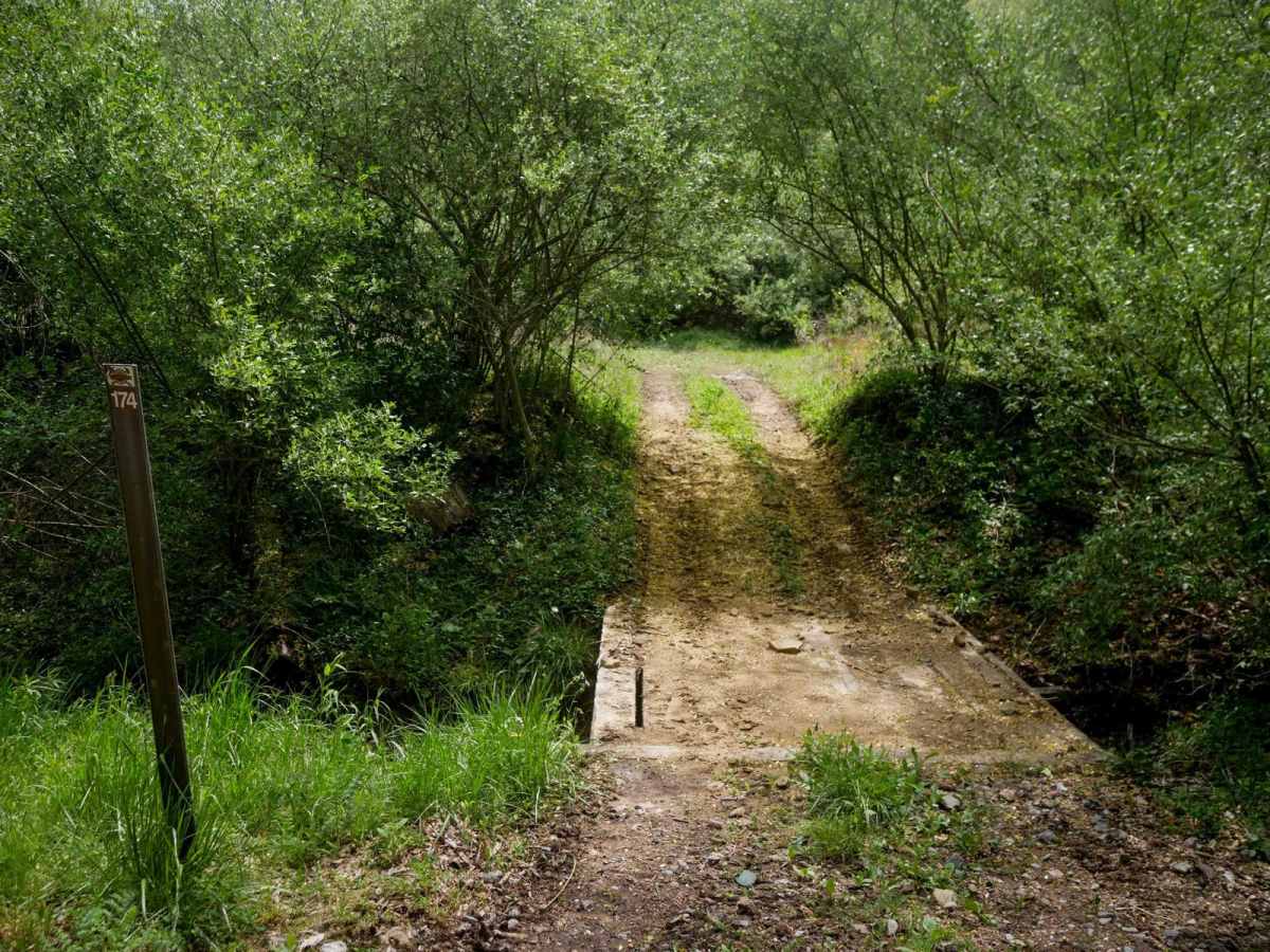 W174 trail photo