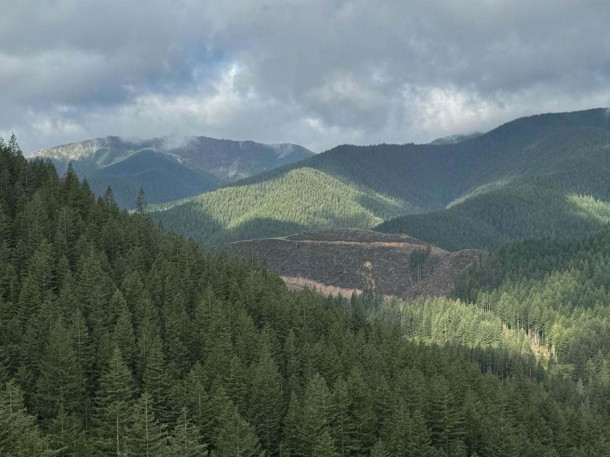 Rock Creek Run trail photo