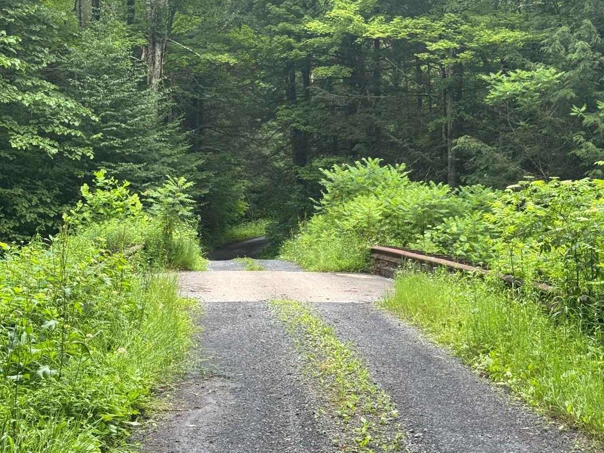 County Line Road photo 4