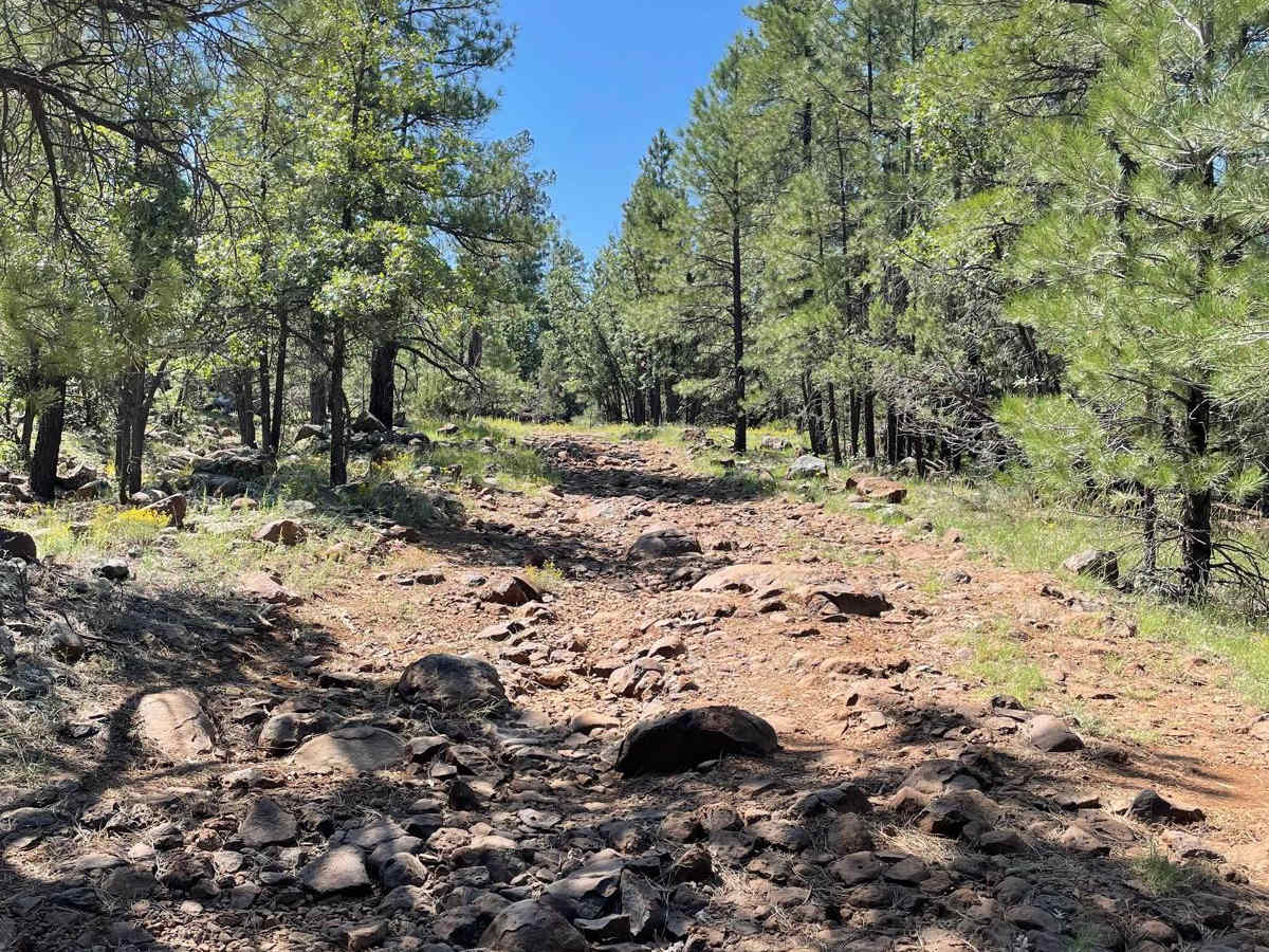 Cub Tank Trail photo 5