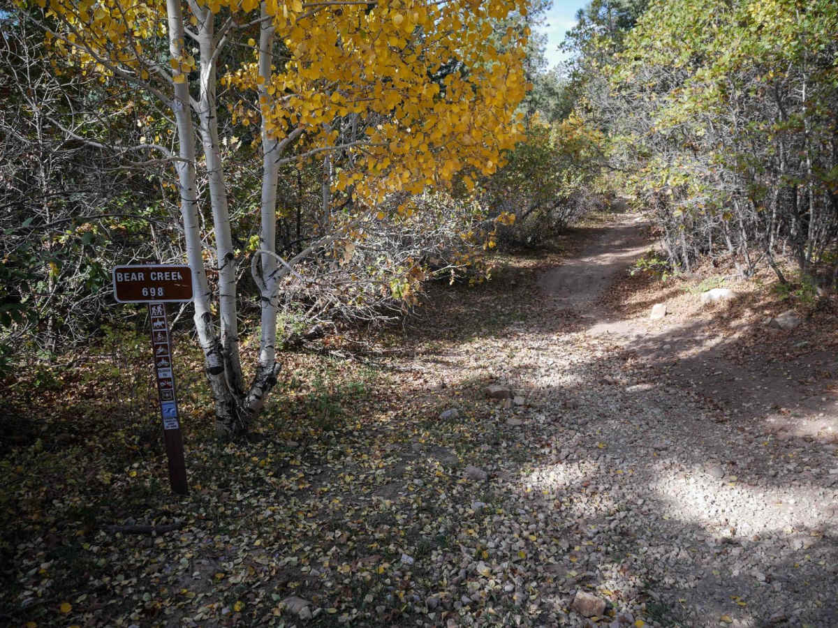 Bear Creek trail photo