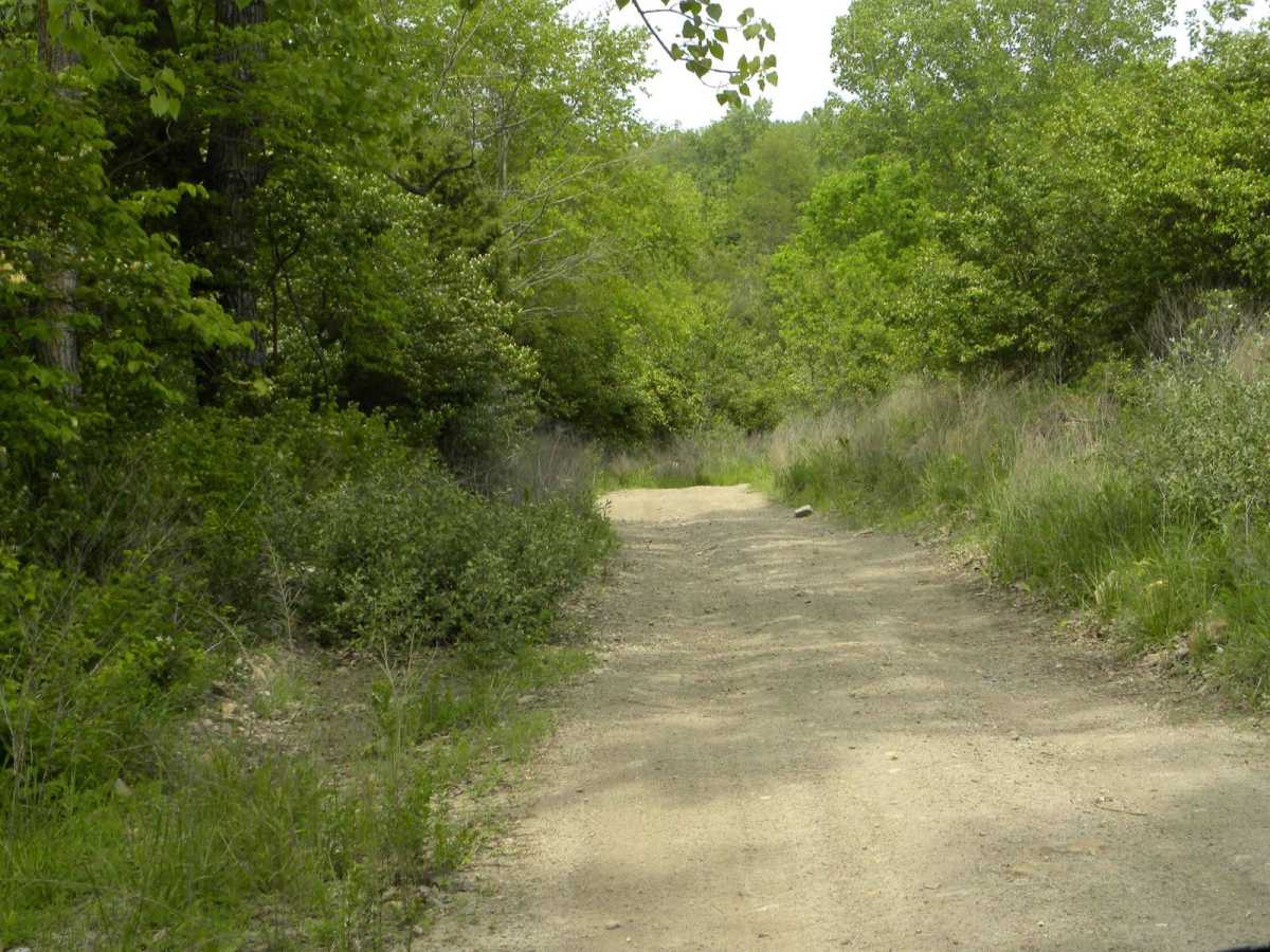 Trail 1A photo 4