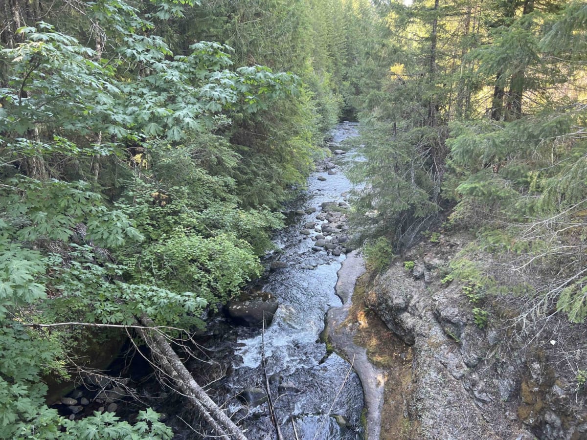 Stanley Creek 2136 photo 4