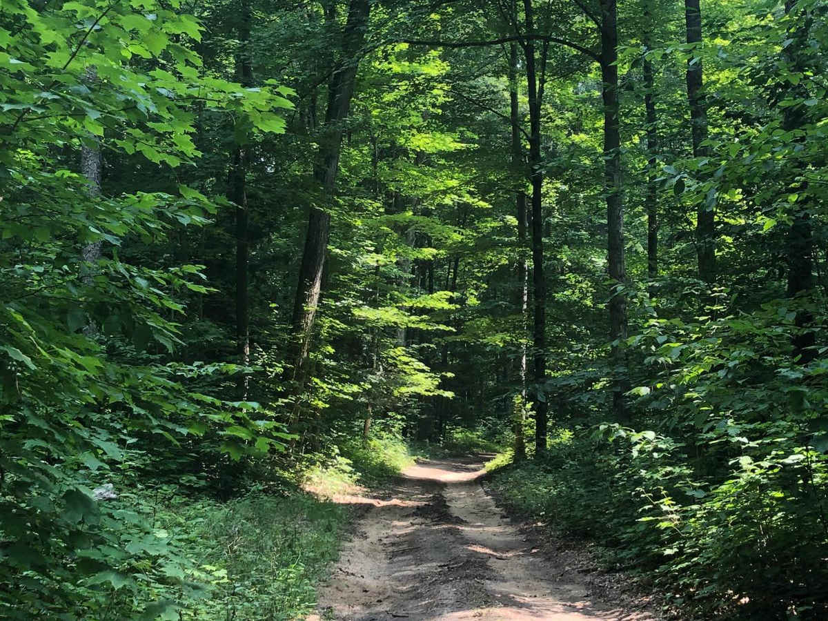 Lamb Road Loop photo 5