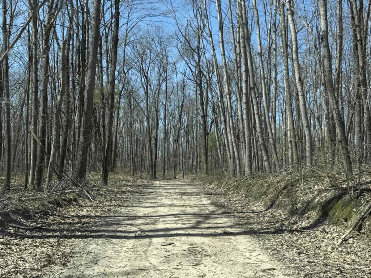 FS 4119 photo 3