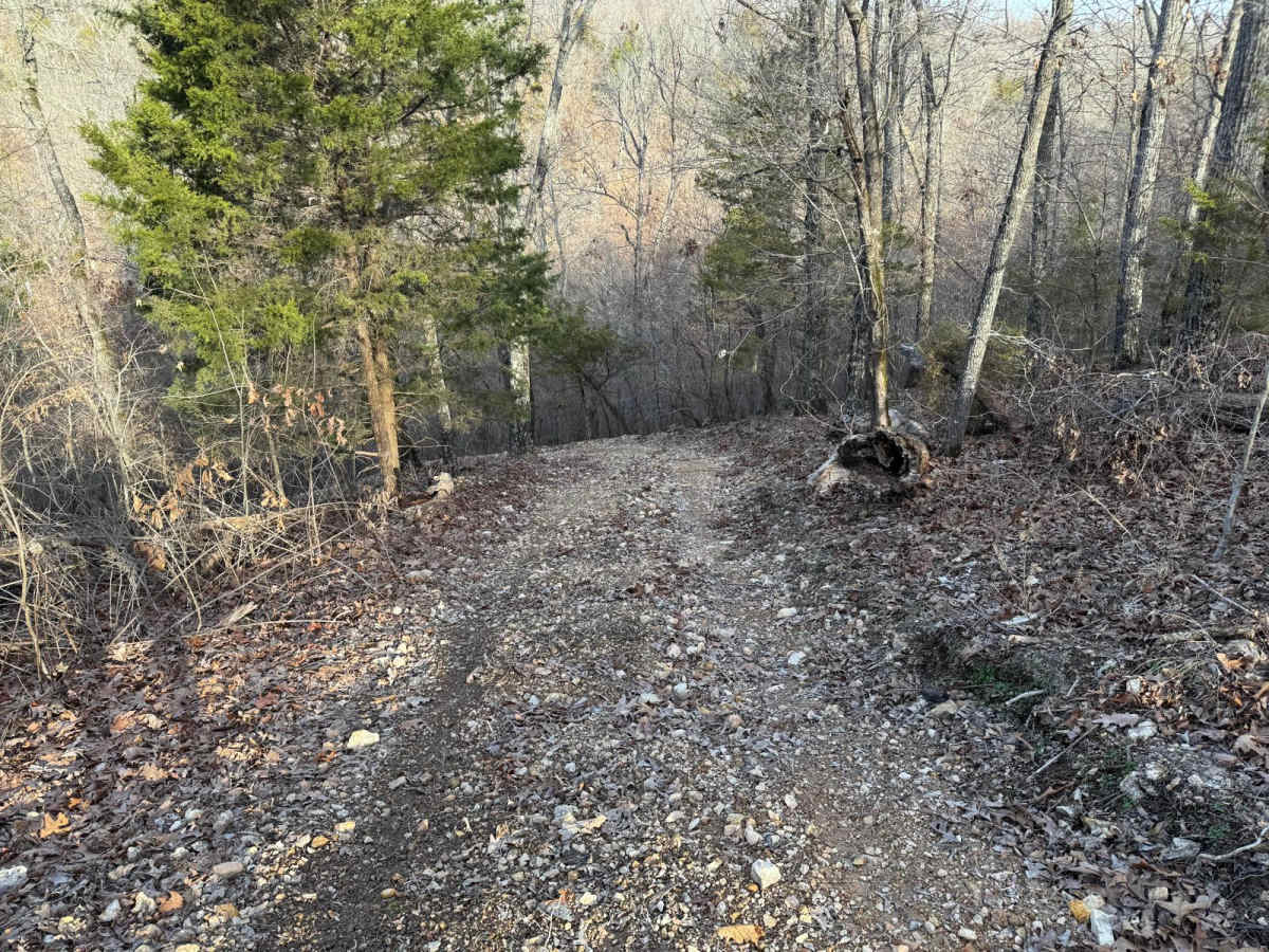 Yellow 360 photo 2