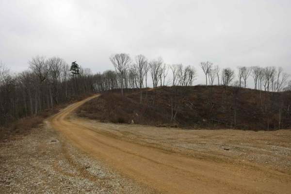 Trail 4 - Short Mountain Road