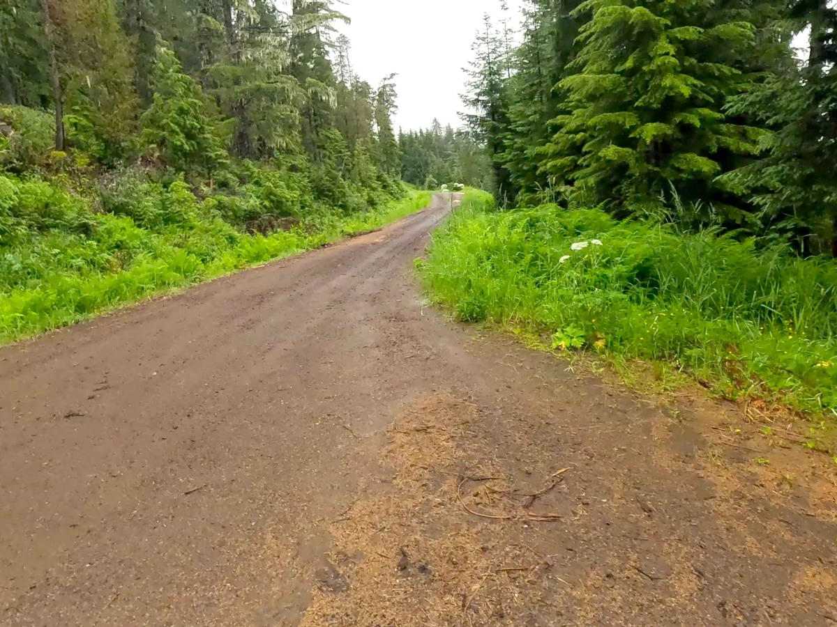 Twin 6209 trail photo