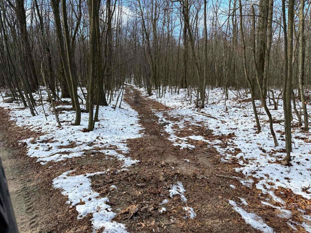 Locust Gap single track Add On B photo 4