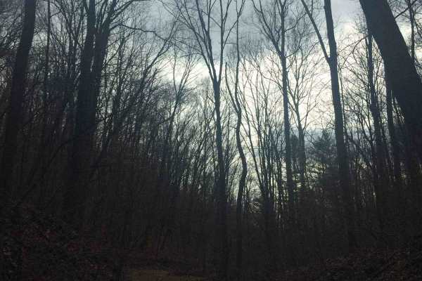 Wolf Cemetery